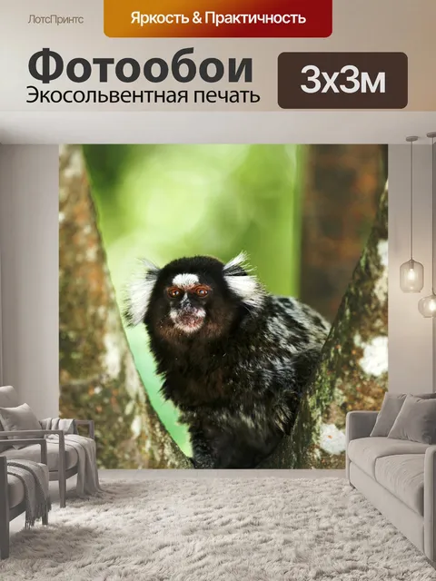 Фотообои Белая хохлатая мартышка