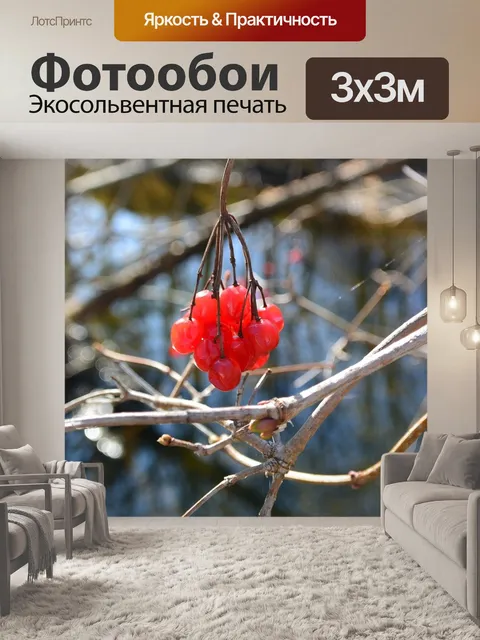 Фотообои Красный