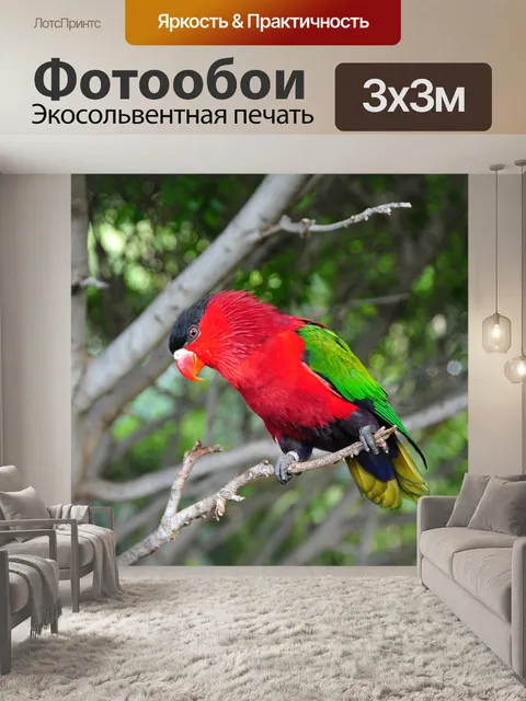 Фотообои Птица
