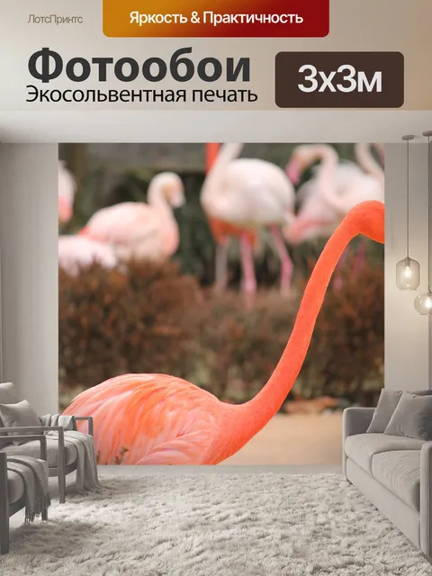 Фотообои Фламинго