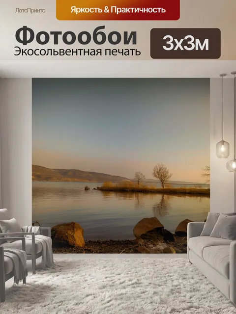 Фотообои Окаменевший лес гинкго