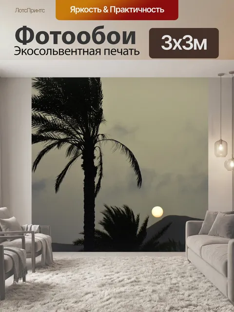 Фотообои Дерево пальмы
