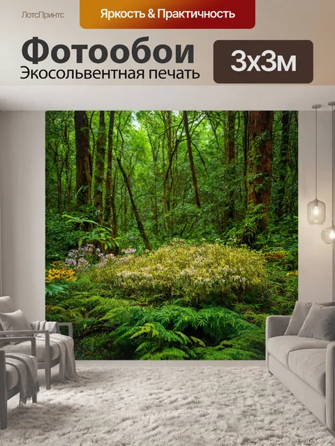 Фотообои лес с редкими цветами, экзотические растения и особенности экосистемы