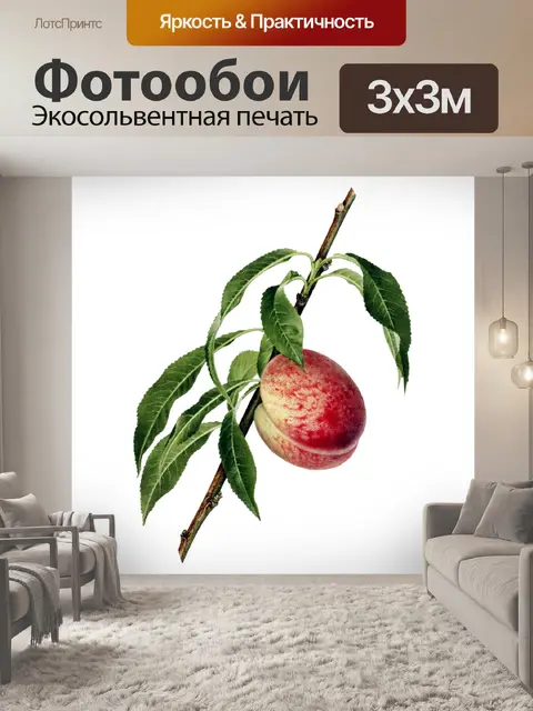 Фотообои Винтажный персиковый фрукт
