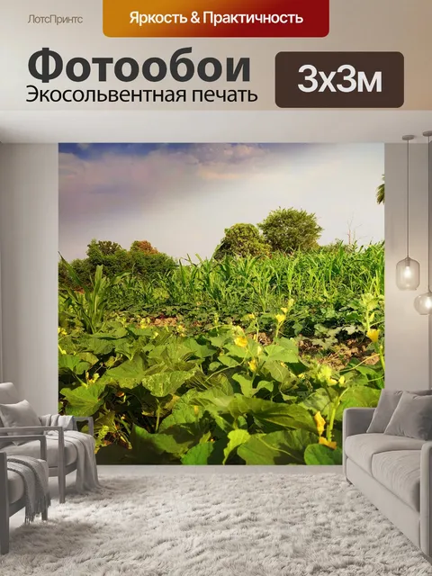 Фотообои Ферма