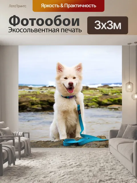 Фотообои Собака