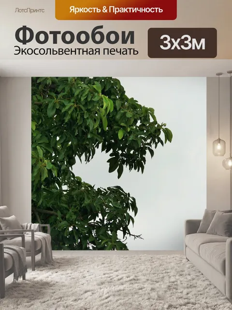 Фотообои Авокадо на дереве