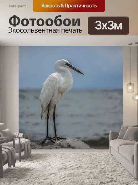 Фотообои Цапля