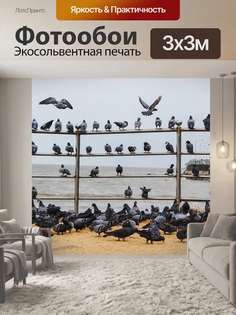 Фотообои Птицы