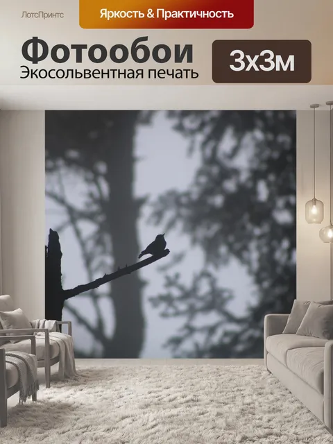 Фотообои Птица