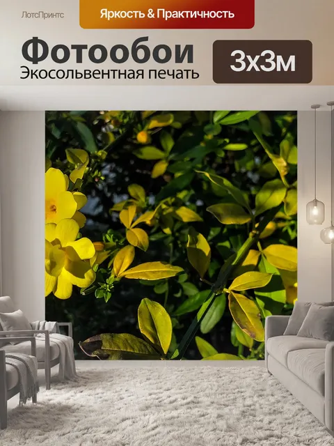 Фотообои Желтый цветок