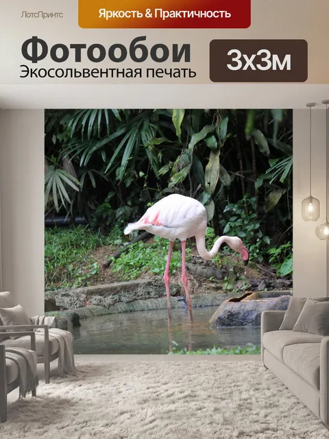 Фотообои одного фламинго на пруду