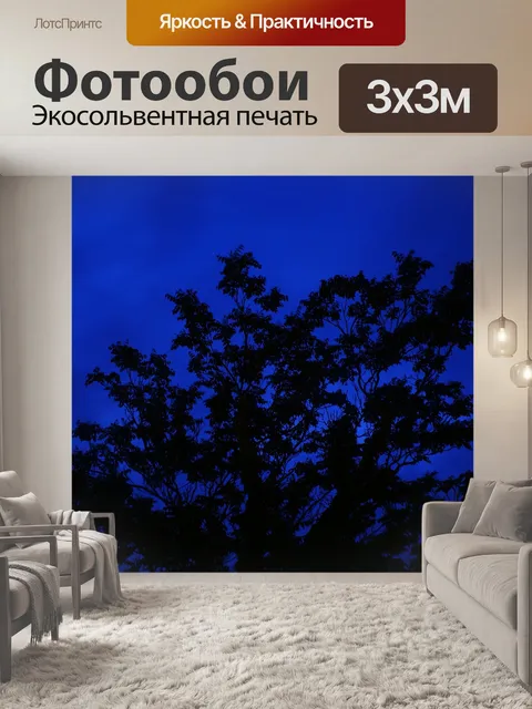Фотообои Дерево