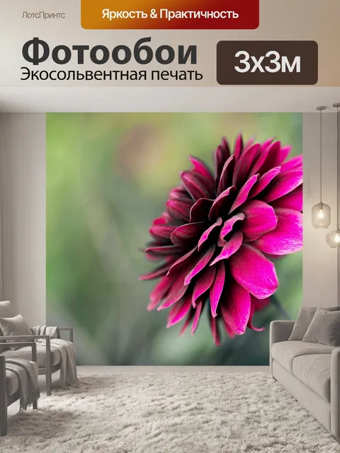 Фотообои Цветок