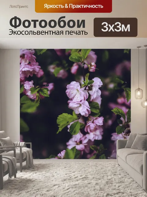 Фотообои Розовый