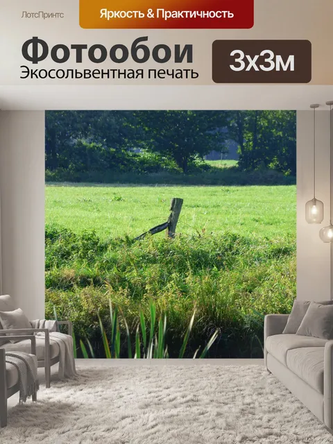 Фотообои Изображение на заднем плане