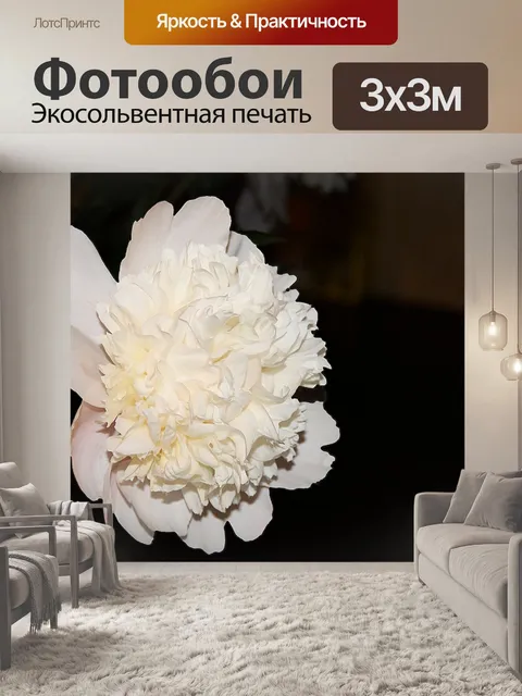 Фотообои Пион