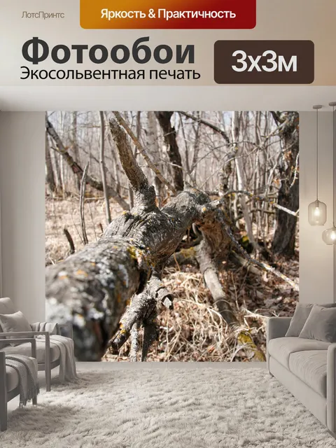 Фотообои Падший Березка