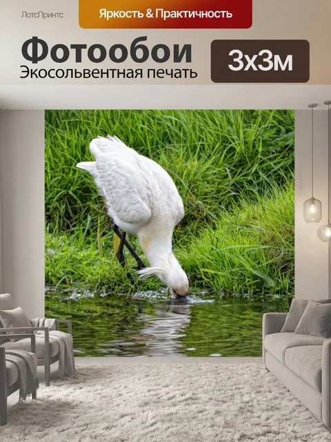Фотообои Белый колпица 8