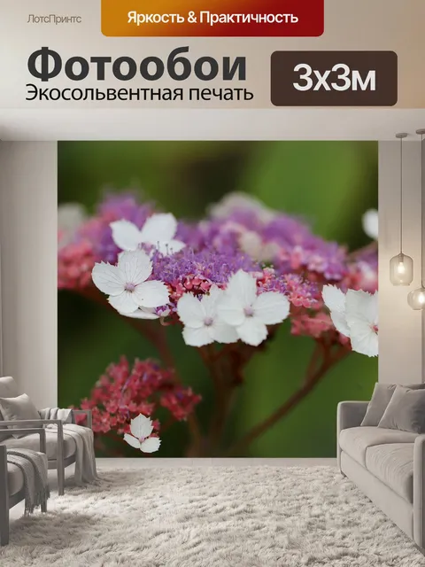 Фотообои Гортензия