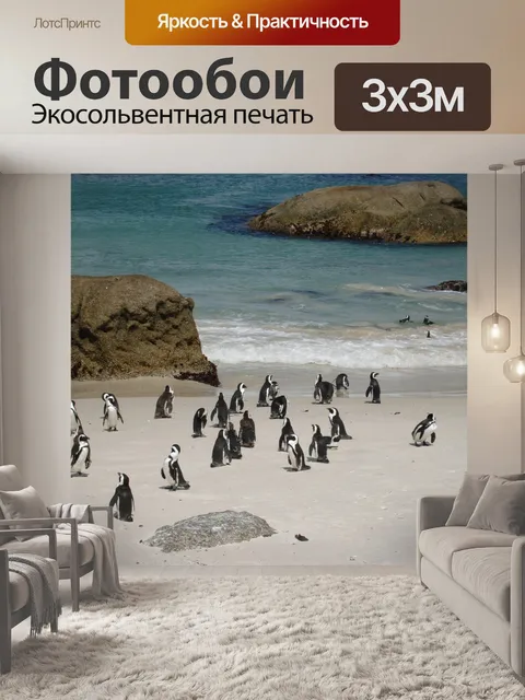 Фотообои Пингвины