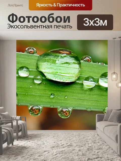 Фотообои Капли воды