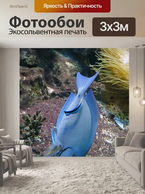 Фотообои Рыбы