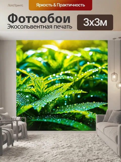 Фотообои сад, залитый утренним светом, где роса сверкает на зелени