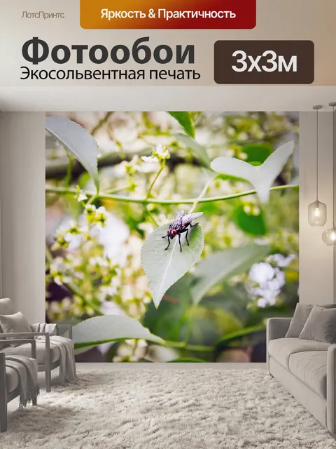 Фотообои Летать