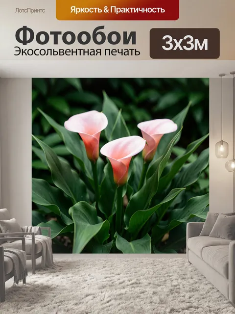 Фотообои Розовые каллы среди зелени