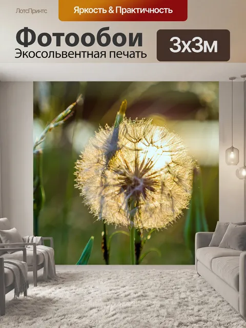 Фотообои Одуванчик