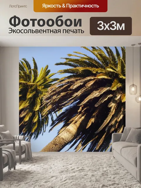 Фотообои Пальмы