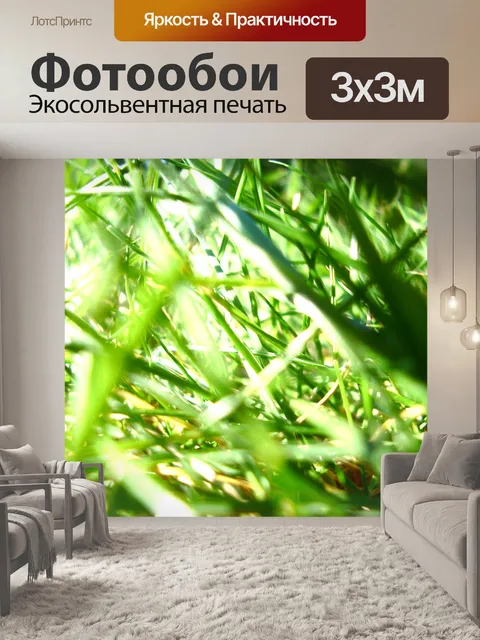 Фотообои Трава Макро