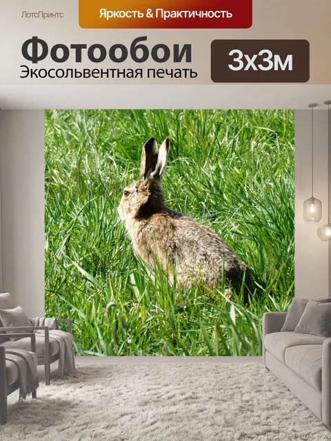Фотообои Заяц
