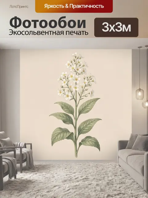 Фотообои Белые цветы с зелёными листьями