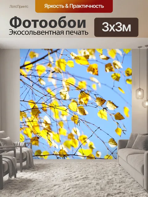 Фотообои Береза