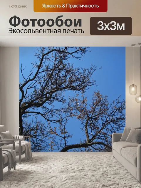 Фотообои большие ветки с сухими листьями