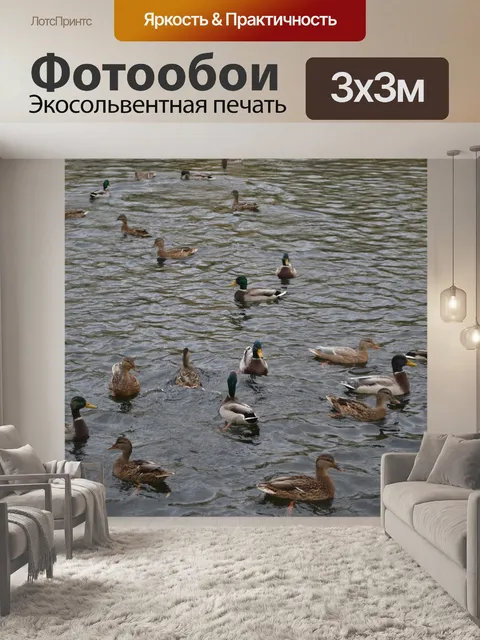 Фотообои утки