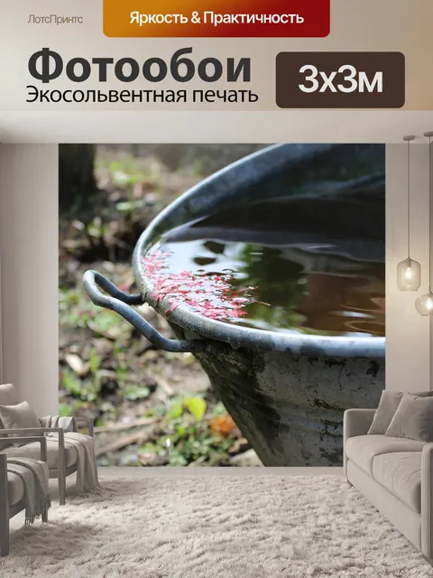 Фотообои Дождевой воды
