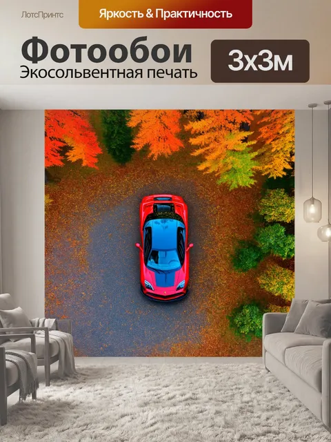 Фотообои спортивная машина на фоне осеннего леса, вид сверху, с яркими листьями