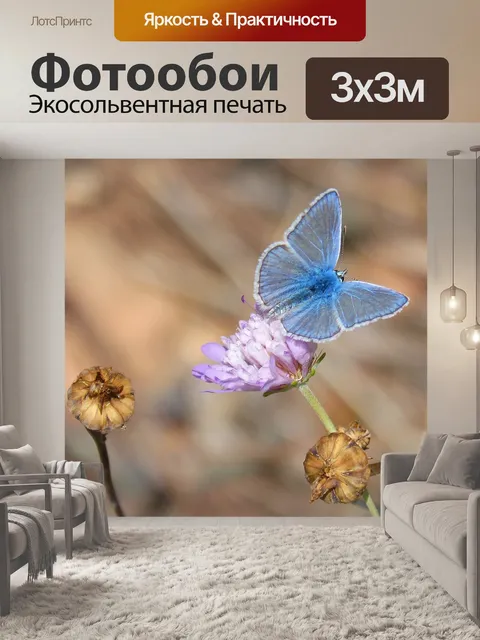 Фотообои Бабочка