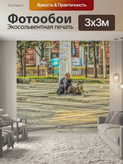 Фотообои Бродяга
