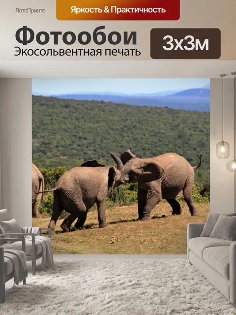 Фотообои Слон