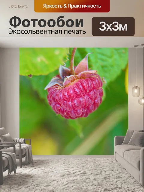 Фотообои Малина