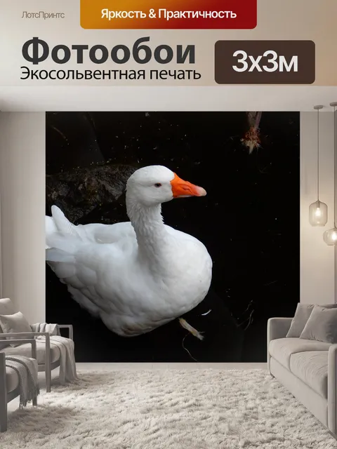 Фотообои Белый гусь