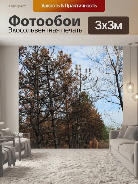 Фотообои Пожар