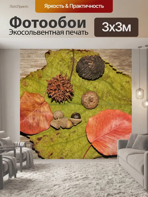 Фотообои Осенняя коллекция на листе
