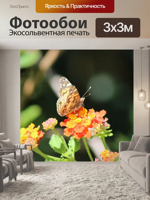 Фотообои Американская окрашенная леди