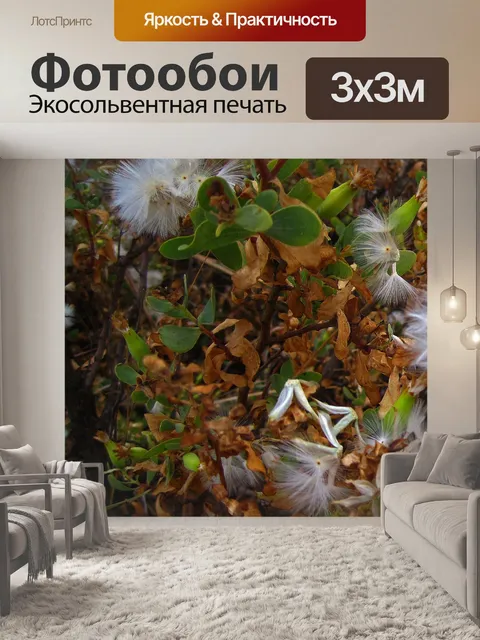 Фотообои пушистая белая гроздь на кусте