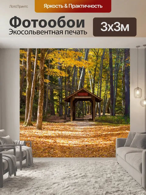 Фотообои Лес